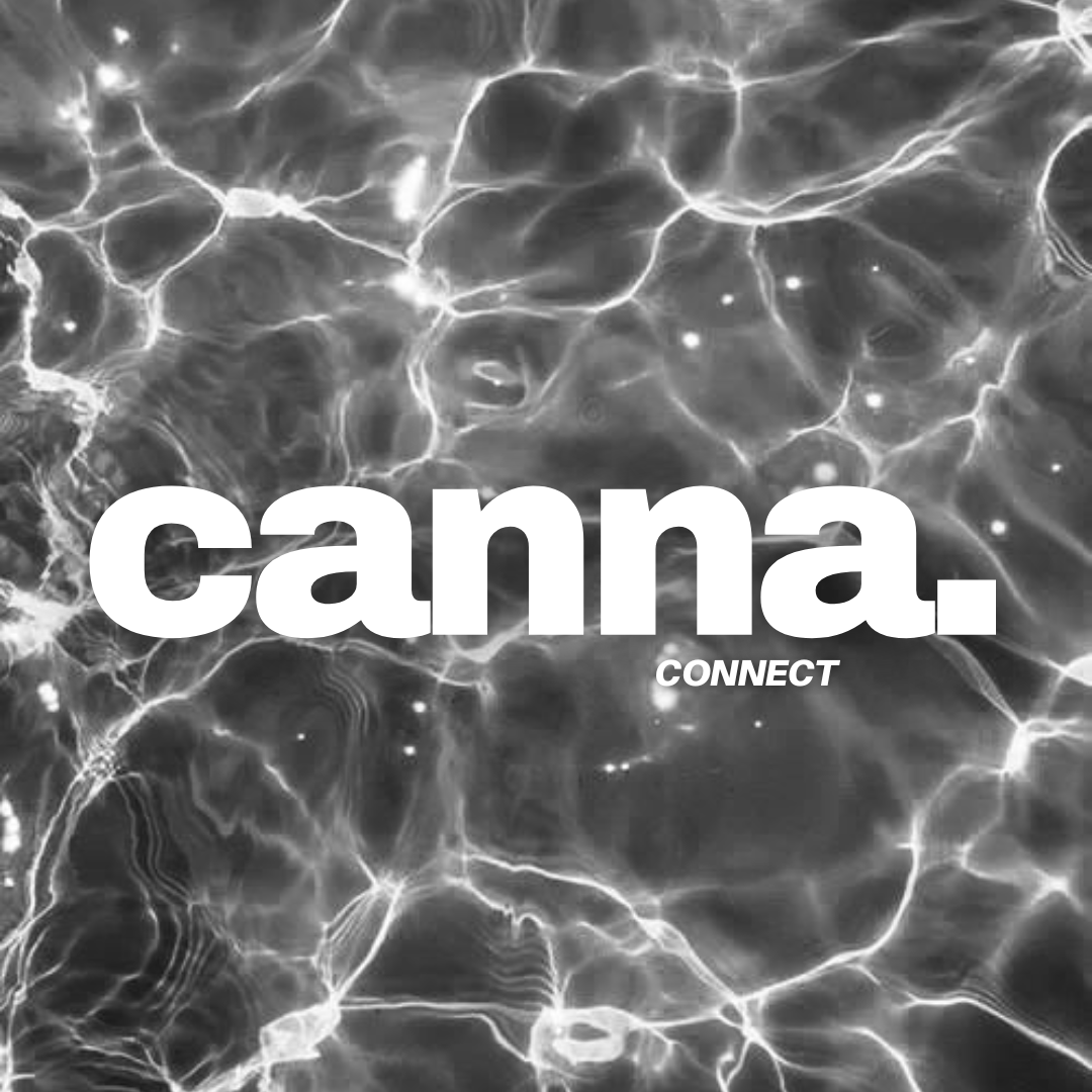 How CannaConnect Helps Cannabis Startups Secure Funding